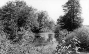 Rothenburg/O.L.. Mühlgraben unterhalb der Brücke am Ende des Parks