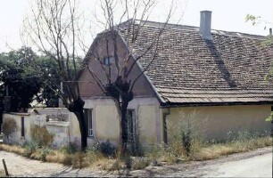 Budaörs: Bauernhaus mit zwei kahlen Bäumen