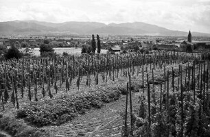 Tunsel: Blick auf Tunsel; im Hintergrund Blauen