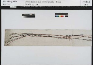 Kirschbaum Stehender (südlicher Teil )