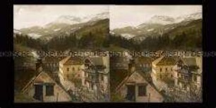 Blick über den Ort Prein zum Bergmassiv Rax