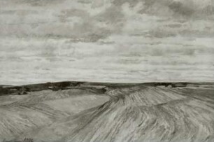 Felder