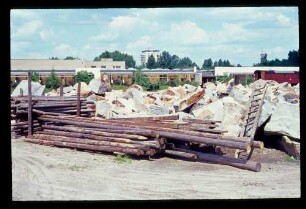 Neue Bärenanlage 3.6.67.