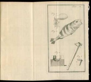 Tab. 12