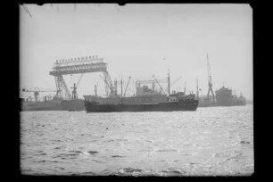 Amisia (1953), Schmitz, Brink & Wölfel, Flensburg