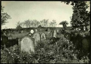 Israelit. Friedhof