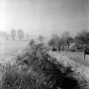 Heilsau (Abschnitt Mühlenau): Blick von Hamburger Chaussee / B 75, gegenüber von Einmündung Kalkgraben in Richtung Süden: rechts Gartenland von Hofstelle, Bäume, Leiter: hinten Bäume an Traveufer: im Winter
