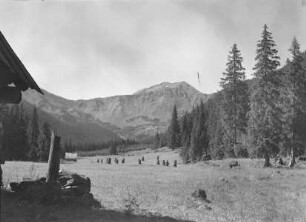 Bergwiese in der polnischen Tatra