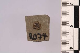 Marienkäfer (Coccinellinae)