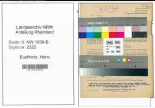 Entnazifizierung Hans Buchholz , geb. 01.10.1902 (Vertreter)