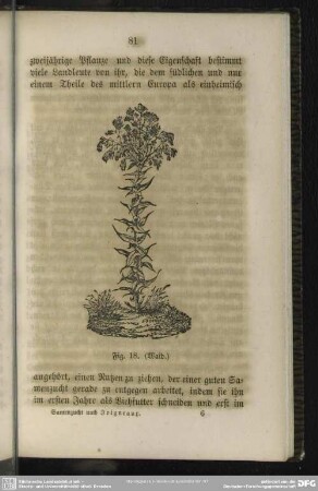 Fig. 18. (Waid)