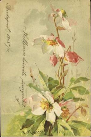 [Blumenmotiv]