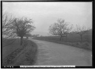 Rennstrecke Solitude: zwischen Glemseck und Eltingen, gegen Eltingen gesehen - Ansicht vom 18.11.1930 (V. Tag)