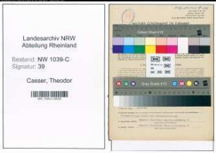 Entnazifizierung Theodor Casser , geb. 04.10.1900 (Bankangestellter)