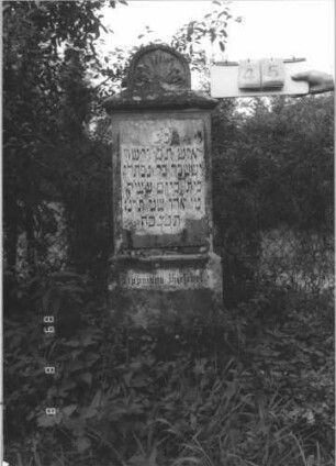 Grabstein 45 (Index: 99799499) Material: Sandstein, Schriftplatte Marmor Zustand: verwittert Maße HxBxT: 140x42x21 cm Beschreibung: Stele mit Walmdach, Rundbogenaufsatz mit Palmette gefüllt, Schriftplatte aufgesetzt, getreppter Sockel Symbolik: floral: Grabstein 45