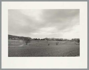 Richard Serra, Lemgo Vectors (Elevations for Walter), Lemgo