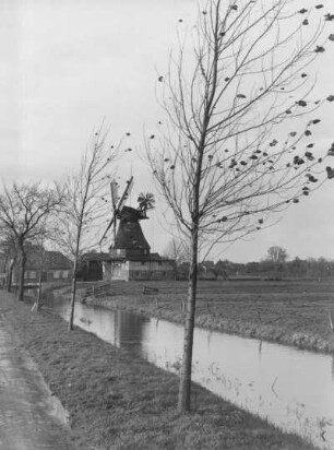 Holstein. Ansicht einer Windmühle im Herbst