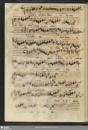 [Anon.:] Misericordias Domini