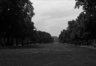 Bonn: Poppelsdorfer Allee