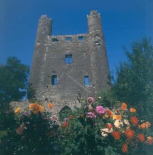 Saalfeld. Burgruine "Hoher Schwarm"