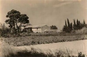 Provence. Typisches Bauernhaus mit schiefergedecktem Dach aus der Gegend von St. Remy. Die Zypressenwand schützt die Blumenfelder vor dem Mistral