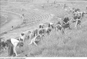 Dresden, Heinz-Steyer-Stadion. Nationales Aufbauwerk Freiwillige Arbeitseinsätze im Stadion, 1952 & Freiwillige Arbeitseinsätze, Juni 1952
