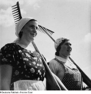 Ostpreußen (?). Heuernte. Zwei Frauen mit geschulterten Rechen