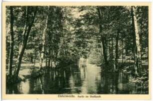 Elsterwerda. Partie im Stadtpark
