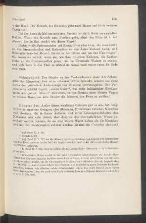 Schutzgeist