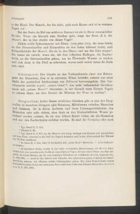 Schutzgeist