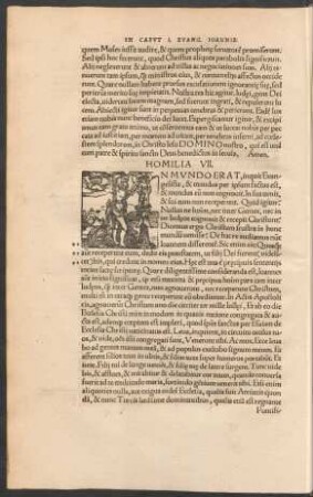 Homilia VII.