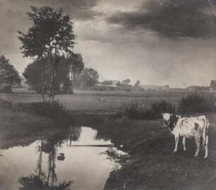 Kuh an einem Bach (Sammlung Richard Wegner 1869/1931)
