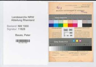 Entnazifizierung Peter Baues, geb. 11.01.1908 (Steuerberater)