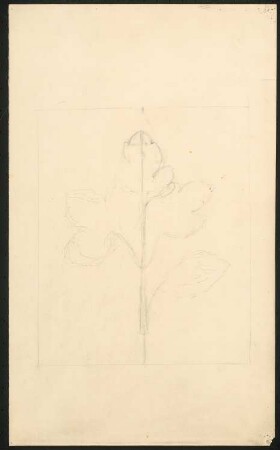 Ornamente: Florale Ornamente