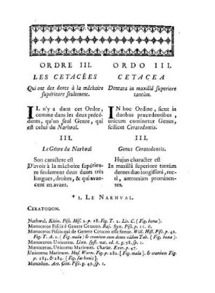 Ordre III. Les Cetacées qui ont des dents à la mâchoire supérieure seulement. - Ordo III. Cetacea dentata in maxillâ superiore tantùm