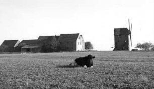 Sohland a. Rotstein. Bachmannwindmühle