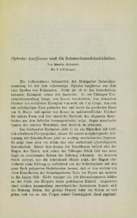 Hybodus hauffianus und die Belemnitenschlachtfelder