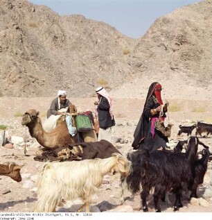 Wanderung, Aufbruch - Sinai - Familie Salem