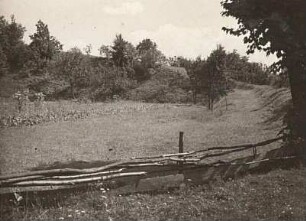 Lausitzer Bergland. Kuckauer Schanze. Inneres der Wallanlage