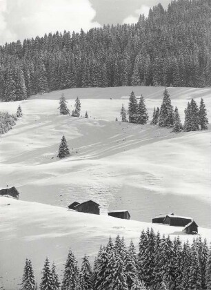 Winterlandschaft bei Au, Bregenzerwald