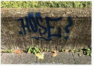 .HOSE!