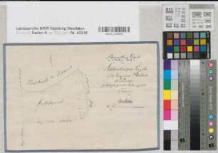 Herbern (Ascheberg), Teilung der Gemeinheit Röhen, Bl. 2 Brouillonkarte  Sellhorstsche Parzelle