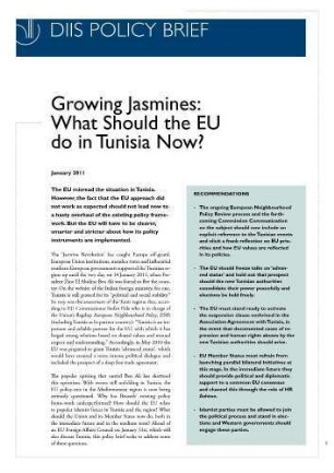 Growing Jasmines: What should the EU do in Tunisia now?