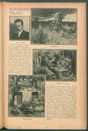 Exposición Peláez