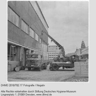 Verladen einer Gläsernen Kuh zum Transport nach Mexiko
