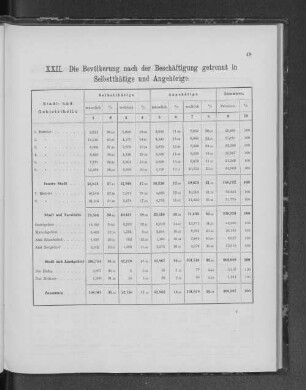 XXII. Die Bevölkerung nach der Beschäftigung getrennt in Selbsttätige und Angehörige.