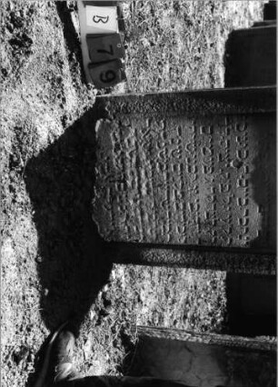 Grabstein 79 (Index: 99798171) Material: Sandstein, weiß Zustand: stark verwittert Maße HxBxT: 103x61x15 cm Beschreibung: Stele, geschweifter Abschluß Symbolik: gekreuzte Palmzweige: Grabstein 79B