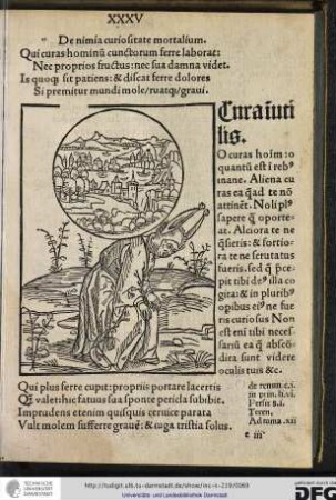 Qui curas hominum cunctorum ferre laborat, nec proprios fructus, nec sua damna videt...
