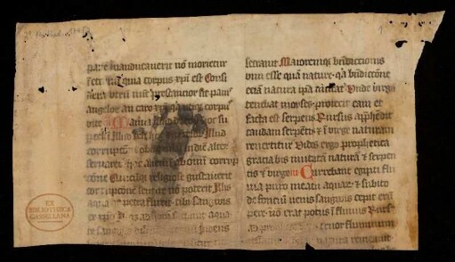 Breviarium (Fragment)