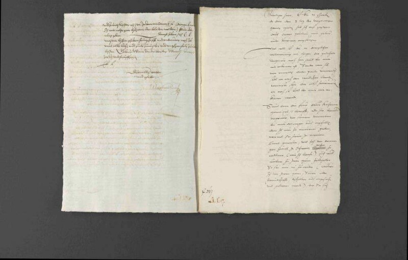 Nachrichten über die Tätigkeiten des Pietro Paolo Vergerio in Wien.